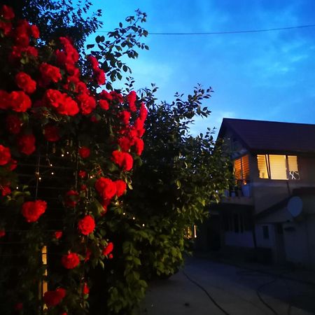Cristalex Villaverde Bucharest Pantelimon Kültér fotó