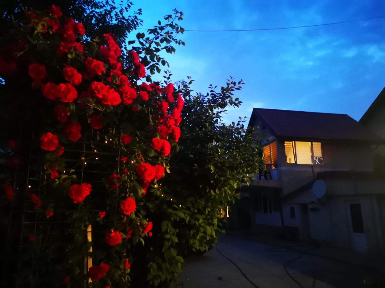 Cristalex Villaverde Bucharest Pantelimon Kültér fotó