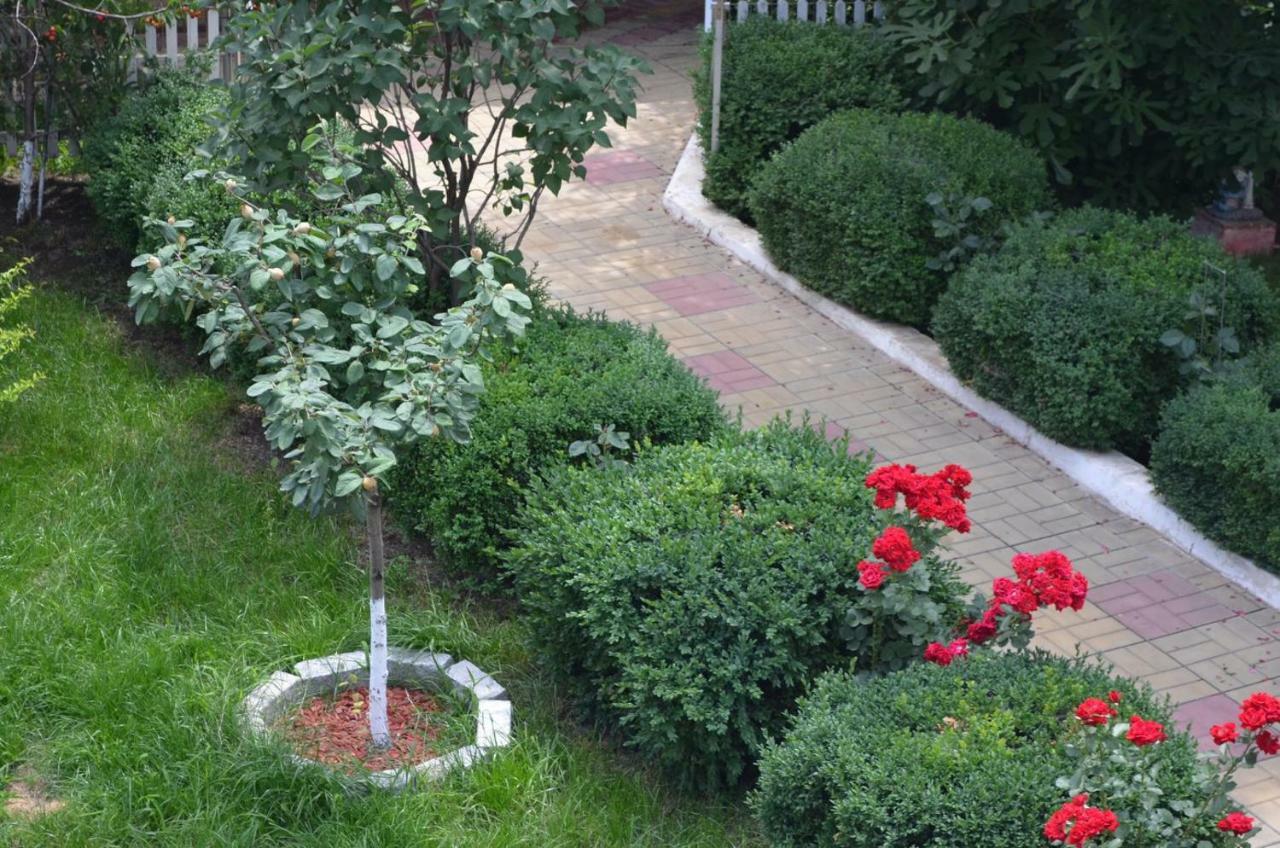 Cristalex Villaverde Bucharest Pantelimon Kültér fotó